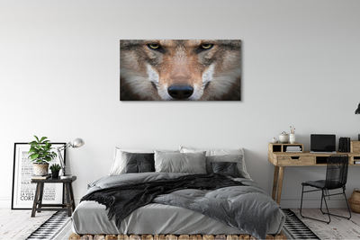 Quadro em tela Olhos de lobo