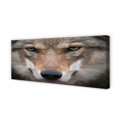 Quadro em tela Olhos de lobo