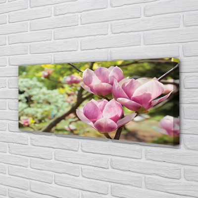 Quadro em tela Árvores de magnólia