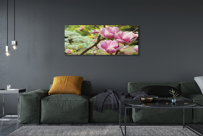 Quadro em tela Árvores de magnólia