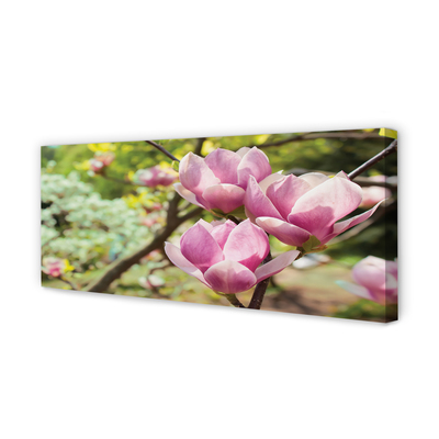 Quadro em tela Árvores de magnólia