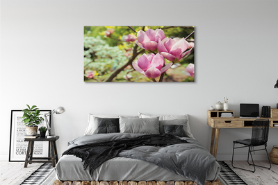 Quadro em tela Árvores de magnólia