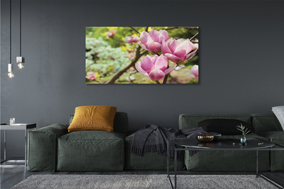 Quadro em tela Árvores de magnólia