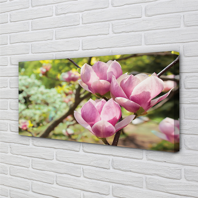 Quadro em tela Árvores de magnólia