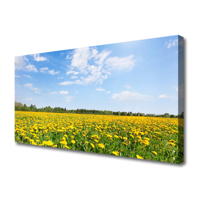 Quadro em tela Prado de Dente-de-leão