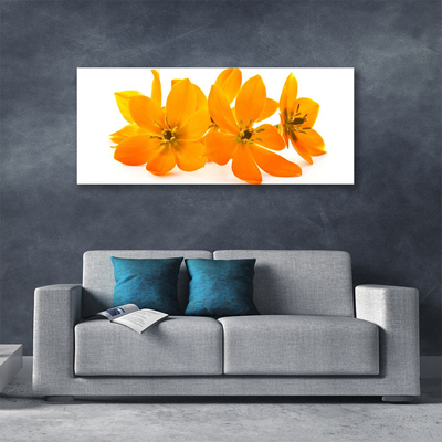 Quadro canvas Flores de plantas de laranjeira