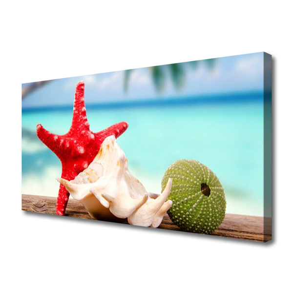 Quadro canvas Arte em conchas e estrelas do mar