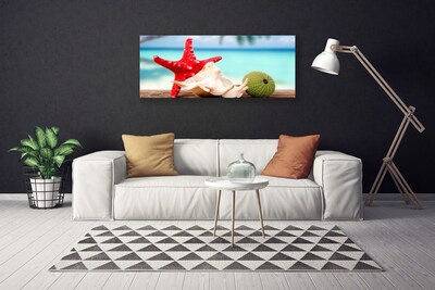 Quadro canvas Arte em conchas e estrelas do mar