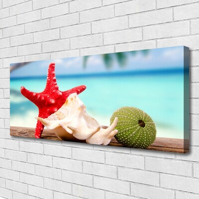 Quadro canvas Arte em conchas e estrelas do mar