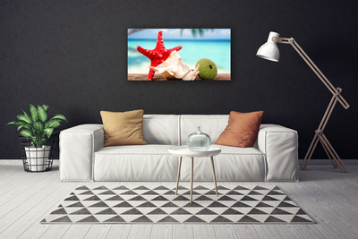 Quadro canvas Arte em conchas e estrelas do mar