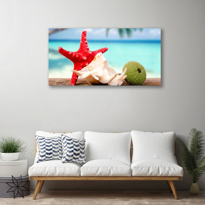 Quadro canvas Arte em conchas e estrelas do mar