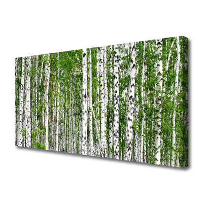 Quadro canvas Árvores da floresta de bétulas Natureza