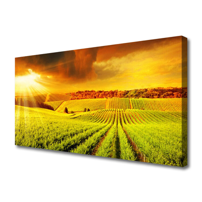 Quadro em tela Paisagem do pôr do sol no campo
