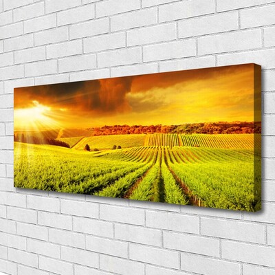 Quadro em tela Paisagem do pôr do sol no campo