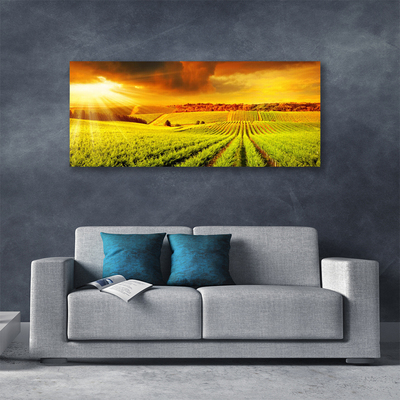 Quadro em tela Paisagem do pôr do sol no campo