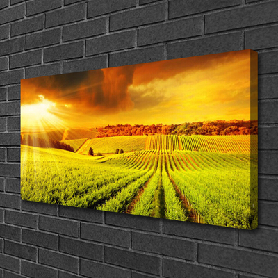 Quadro em tela Paisagem do pôr do sol no campo