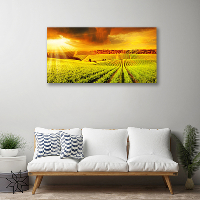 Quadro em tela Paisagem do pôr do sol no campo
