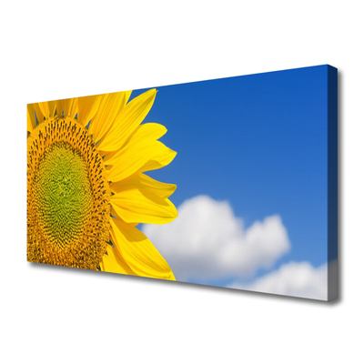 Quadro canvas Girassol Céu Nuvens