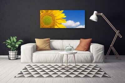 Quadro canvas Girassol Céu Nuvens
