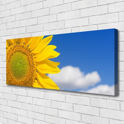 Quadro canvas Girassol Céu Nuvens
