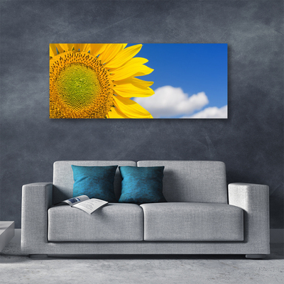 Quadro canvas Girassol Céu Nuvens
