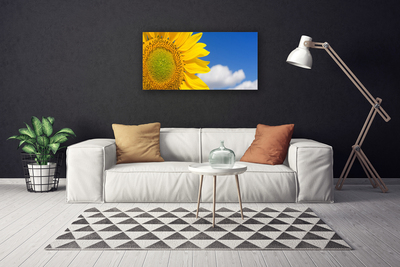 Quadro canvas Girassol Céu Nuvens