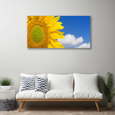 Quadro canvas Girassol Céu Nuvens