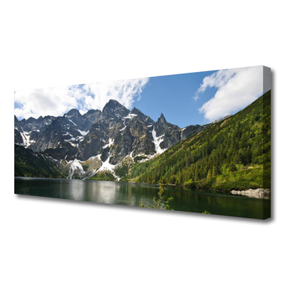 Quadro canvas Paisagem de floresta de lago de montanha