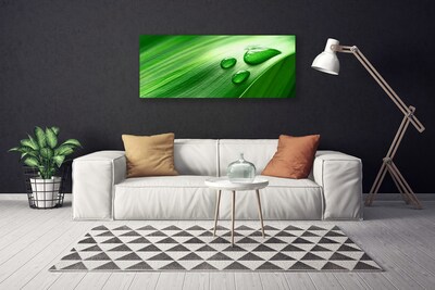 Quadro em tela Gotas de água de folhas