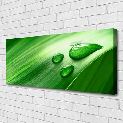 Quadro em tela Gotas de água de folhas