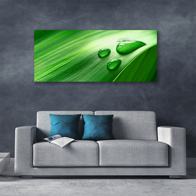 Quadro em tela Gotas de água de folhas