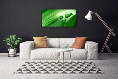 Quadro em tela Gotas de água de folhas