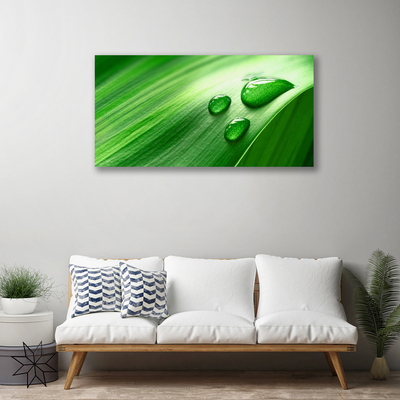 Quadro em tela Gotas de água de folhas