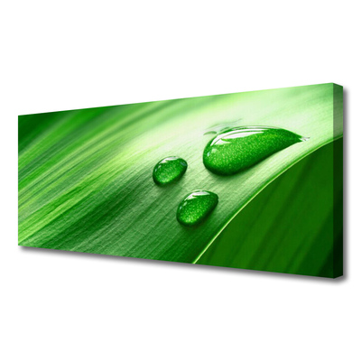 Quadro em tela Gotas de água de folhas