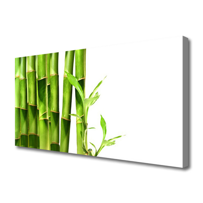 Quadro canvas Planta de bambu