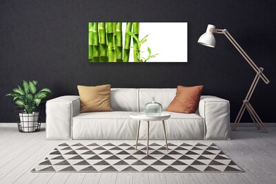 Quadro canvas Planta de bambu