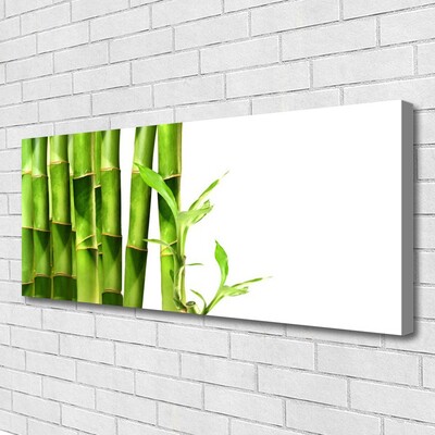 Quadro canvas Planta de bambu
