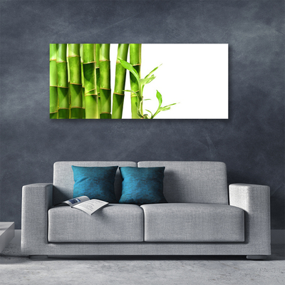 Quadro canvas Planta de bambu
