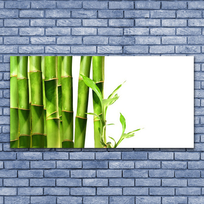Quadro canvas Planta de bambu