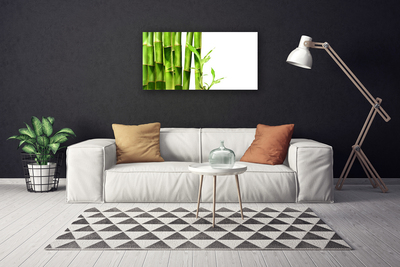 Quadro canvas Planta de bambu