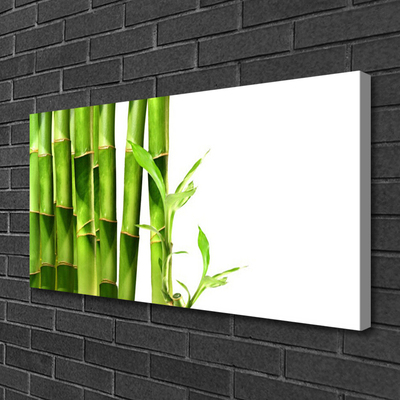 Quadro canvas Planta de bambu