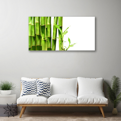 Quadro canvas Planta de bambu