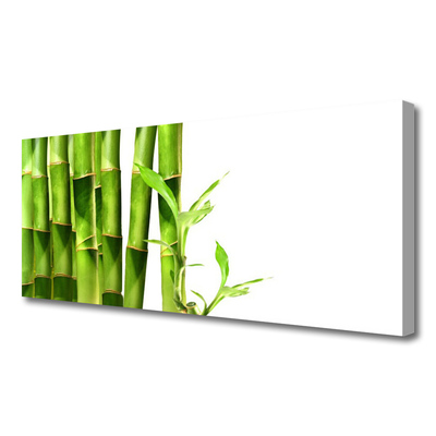 Quadro canvas Planta de bambu