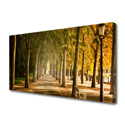 Quadro canvas Paisagem do Beco do Parque