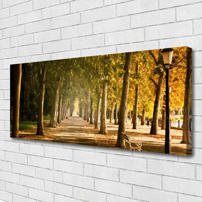 Quadro canvas Paisagem do Beco do Parque
