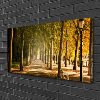 Quadro canvas Paisagem do Beco do Parque