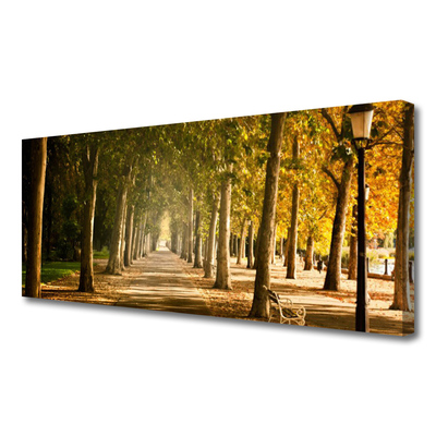 Quadro canvas Paisagem do Beco do Parque