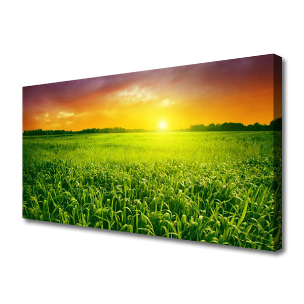 Quadro canvas Nascer do sol no campo de grãos