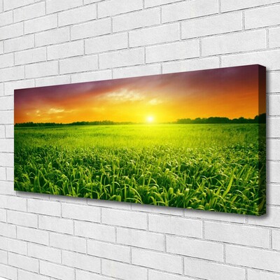 Quadro canvas Nascer do sol no campo de grãos
