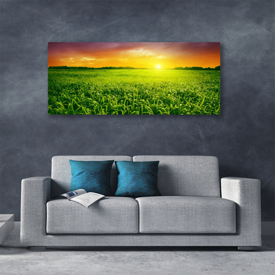 Quadro canvas Nascer do sol no campo de grãos